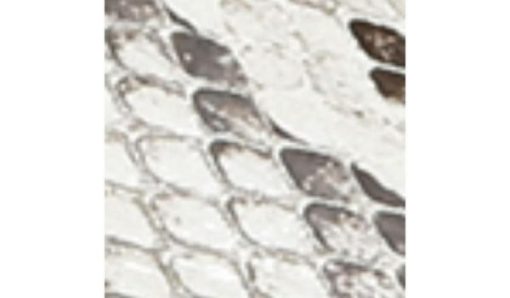 Garmentgenesis.shop244980bc71 10