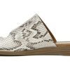 Garmentgenesis.shop244980bc71 5