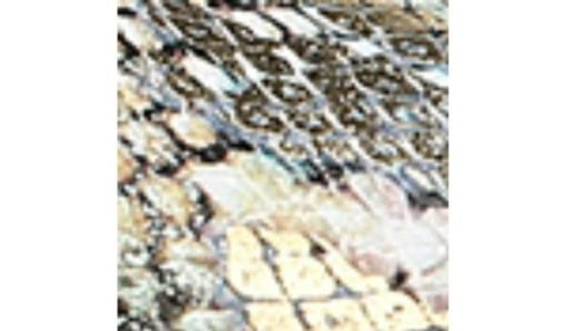 Garmentgenesis.shop46648abf8b 10