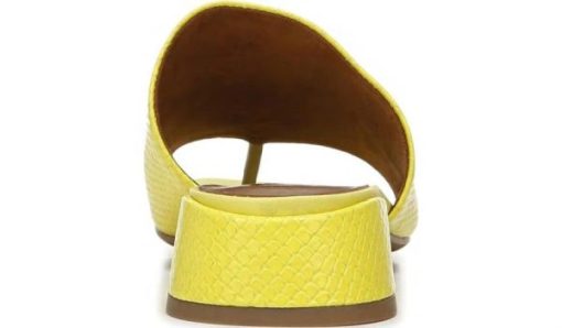 Garmentgenesis.shop4f63eaa63b 6