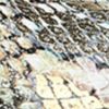 Garmentgenesis.shop522ce05dd0 10