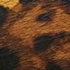 Garmentgenesis.shop56ecc36cf2 10