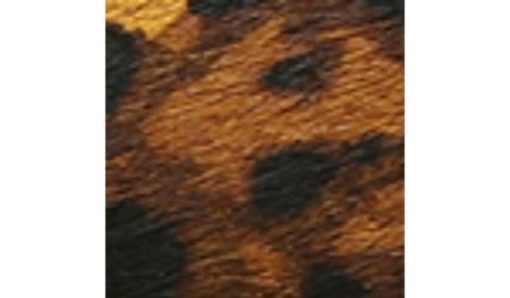 Garmentgenesis.shop56ecc36cf2 10