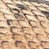 Garmentgenesis.shop7dcd2331b3 10