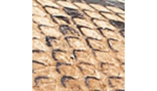 Garmentgenesis.shop7dcd2331b3 10