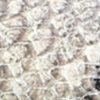 Garmentgenesis.shopa7fb150b31 10