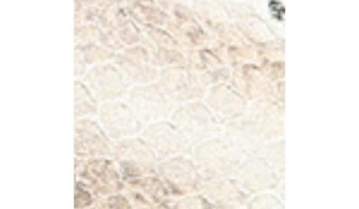 Garmentgenesis.shopaff75b94ba 10