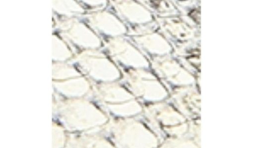 Garmentgenesis.shopd819314d69 10