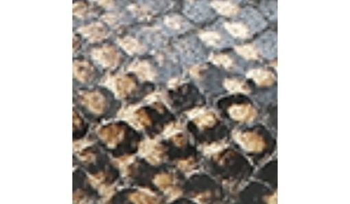 Garmentgenesis.shopdbaabc0c8b 10