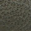 Garmentgenesis.shope059255e07 10