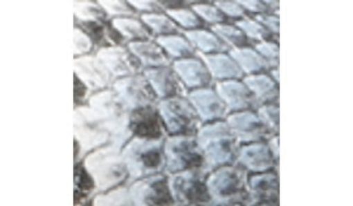 Garmentgenesis.shopf794084bcb 10